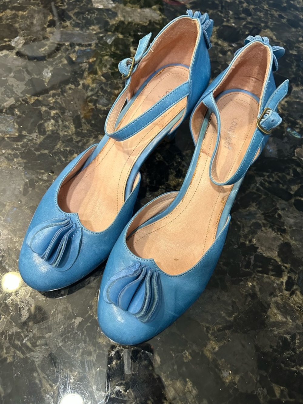 Blue Leather Mary Jane Heels with Tassel Detail